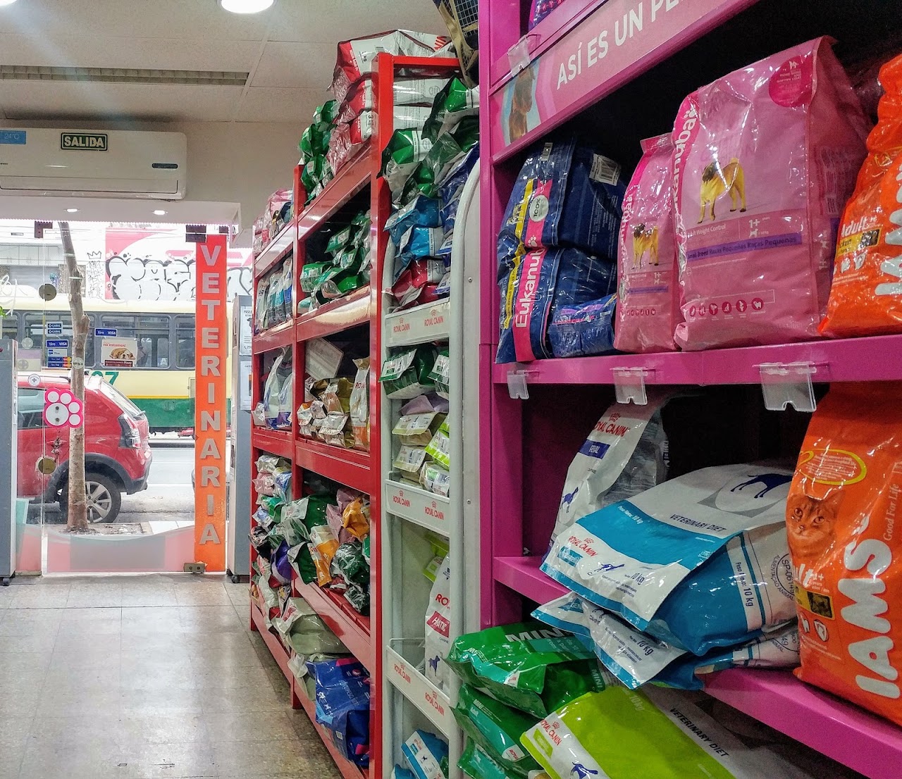 Peluquería canina y baño de perrito con espuma en Bummer